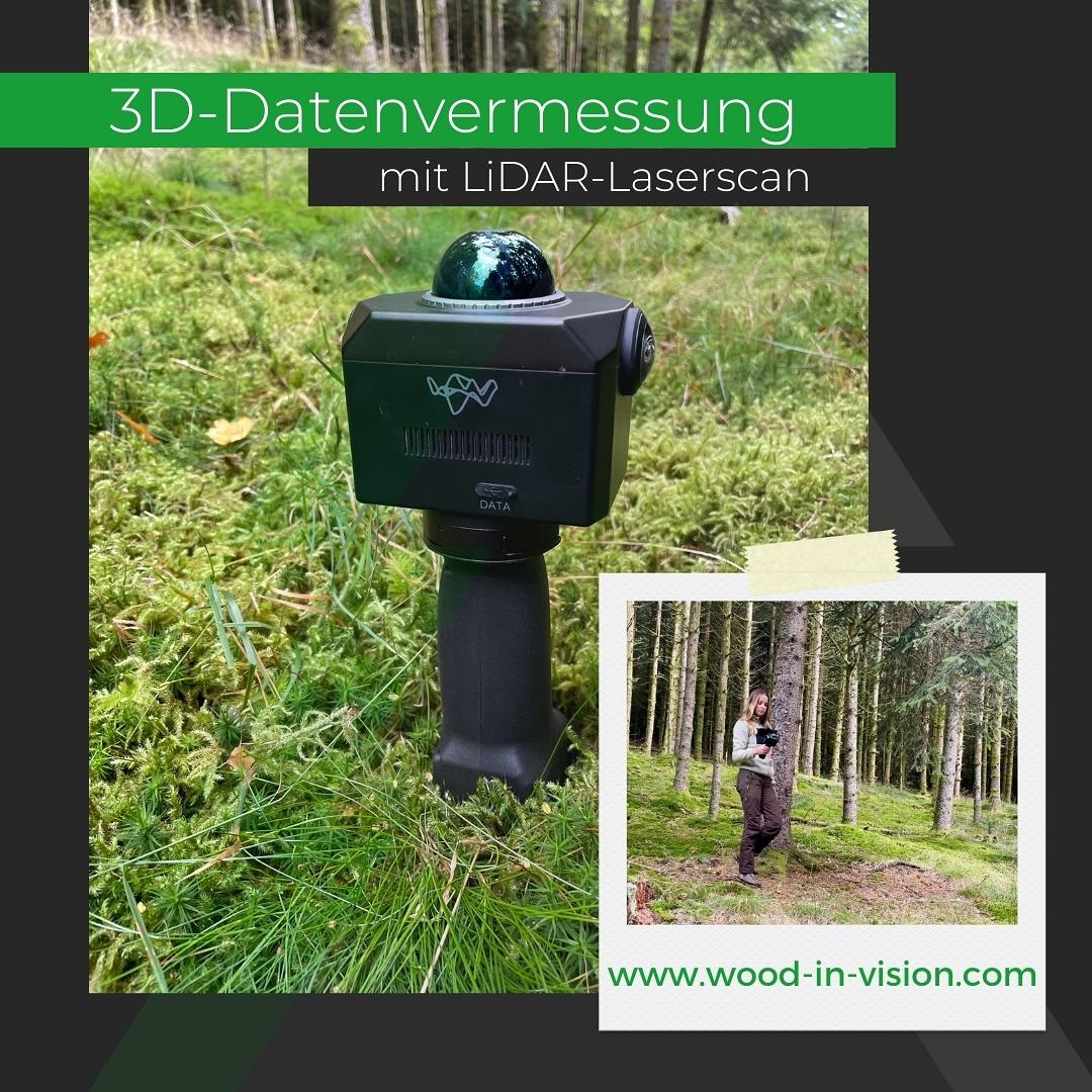 Forest Mapping with Cutting-Edge LiDAR Technology