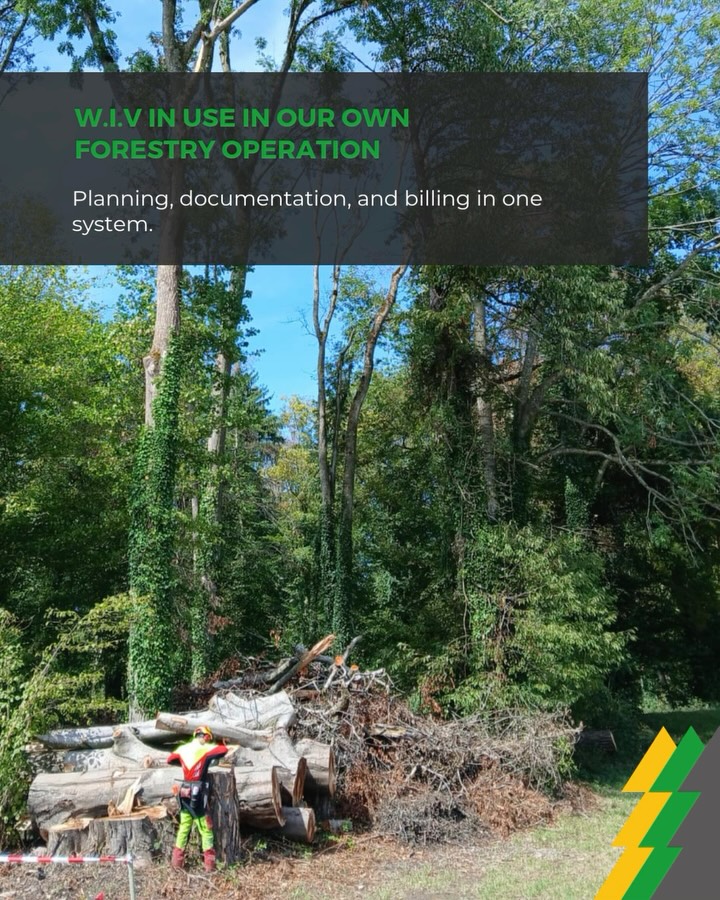 W.I.V in Practice: Digital Forest Management at Its Best