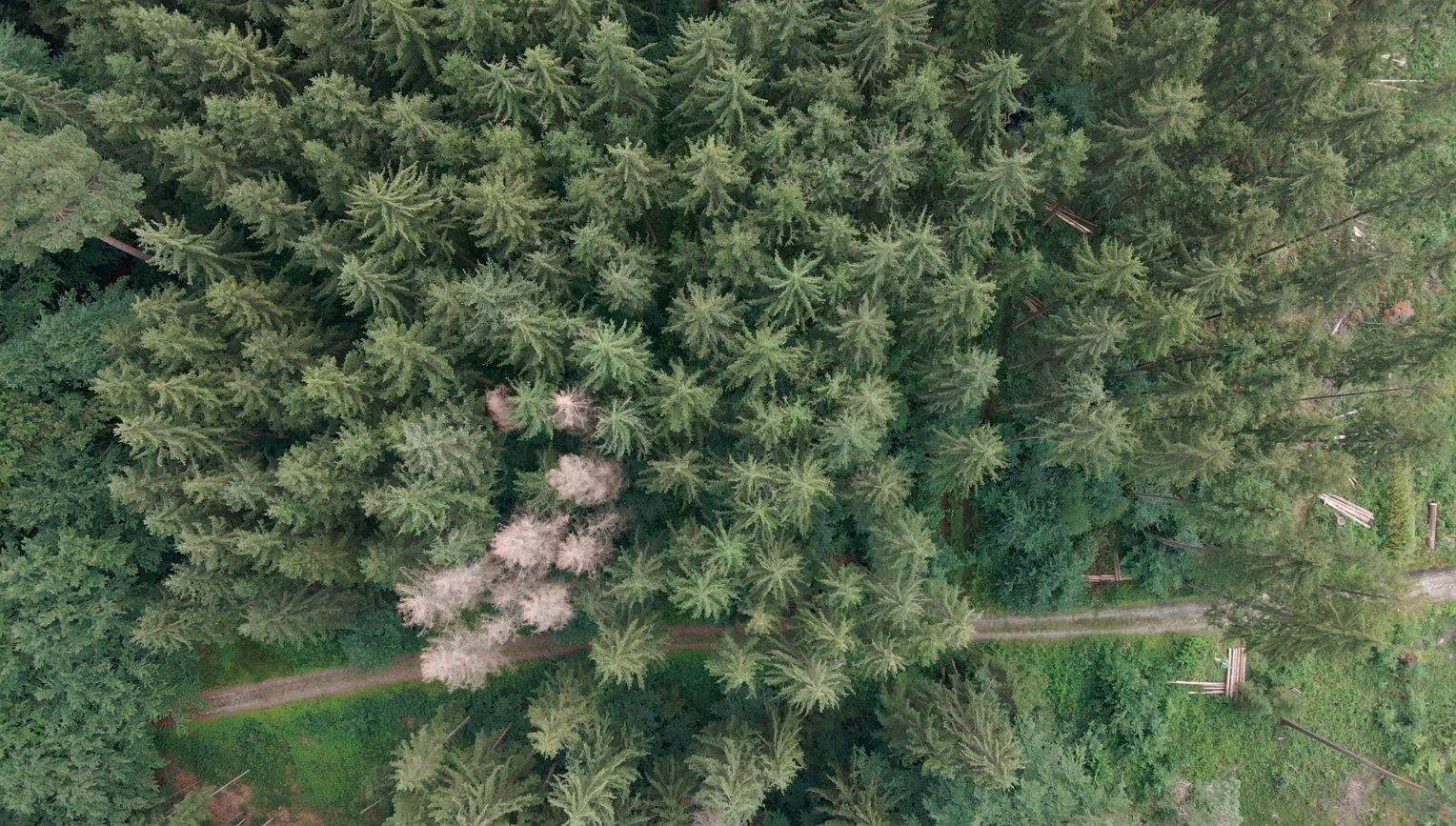 Drone surveys