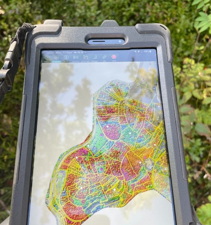 Forest inventory